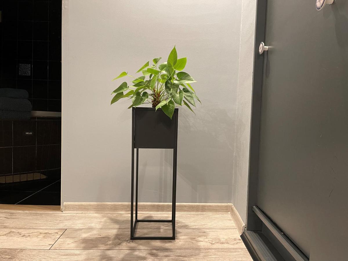 Apartamenty Pod Uwalonym Debem Jezow Sudecki Экстерьер фото