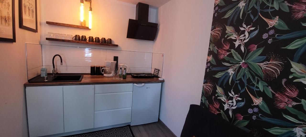 Apartamenty Pod Uwalonym Debem Jezow Sudecki Экстерьер фото